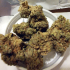 Patient Image of Grow® Pharma T20 Hellfire OG Medical Cannabis