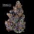 Patient Image of The Plug Medical Group T15 RX-11 Medical Cannabis