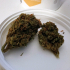 Patient Image of Khiron T5:C7 Caramel CBD Medical Cannabis