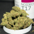 Patient Image of Noidecs T17 Shishkaberry Medical Cannabis