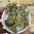Patient Image of Tilray® T22 Island Sweet Skunk Medical Cannabis
