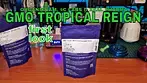 GMO TROPICAL REIGN | Organigram, 4C Labs & Xeal Pharma | FIRST LOOK