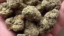 Medical Bud Reviews Video Thumbnail