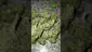 Video Thumbnail: VIP THC