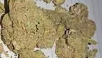 CLOSEUP Of Lumir L.A Kush Cake BUDS Medical Cannabis Strain FORTHEBUCK REVIEWS
