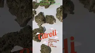 Citroli 4CLabs Cielo Verde UK Medical Prescription Cannabis A319657
