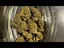 Video Thumbnail: Pain Patient