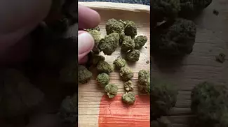 Uklegal medical Primacann-Liberation lemon cake 21%thc 1%cbd #mensmentalhealth #medicated #primacann
