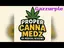 Video Thumbnail:  Proper Canna Medz