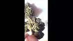 FAAFO Death Bubba Short