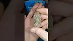 Cookies Hawaiian Rain (C HR T31)
