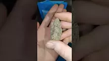 Pressed & Medicinal Video Thumbnail