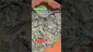 Video Thumbnail: Big Bud Reviews