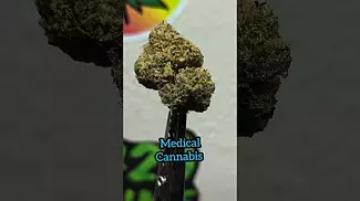 Frozen lemon haze 25%THC... Medical Prescription cannabis
