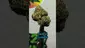 Video Thumbnail: THC Bunny