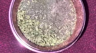 Sitka Legends KSD T23 Kim's Sweet Diesel Medical Strain Reviews #14