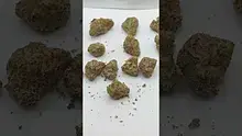TimeTooToke Video Thumbnail