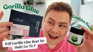 Reviewing Gorilla Glue #4 | Smelly UK Medical Canna | Great Example Of Bud 