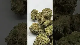 Greenjoy Sour Diesel T32 UK Medical