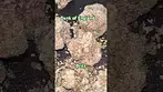 DOE Medical BRITZ T27 Britz Medical Cannabis #christmas