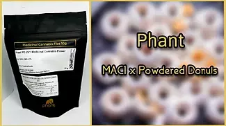 Phant - MAC1 x Powdered Donuts (First Look)