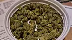 4C Labs Value CCK-S Smalls T25  Creek Kush Medical Cannabis Review