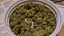 Keep Blazing Stay Amazing Video Thumbnail