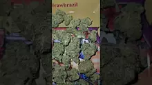 MillsMF Video Thumbnail