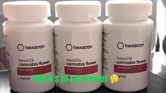 Hexacan Hexa 03 - Hexa 04 - Hexa 08