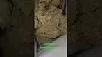 Cookies Hawaian Rain
