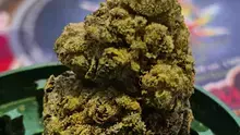 Keep Blazing Stay Amazing Video Thumbnail