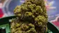 Video Thumbnail: Keep Blazing Stay Amazing