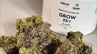 GROW 22:1 LA SAGE 40 Indica 60 Sativa 1st impressions (Legal Medical Cannabis)