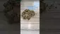 Video Thumbnail: GIggzy Medical Buds