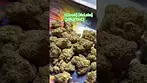 #mamedica#UKmedical………##citroli#4cLabs#25%THC…