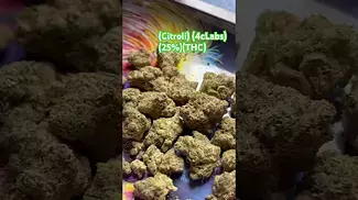#mamedica#UKmedical………##citroli#4cLabs#25%THC…