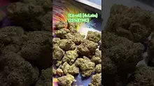 GIggzy Medical Buds Video Thumbnail
