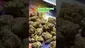 Video Thumbnail: GIggzy Medical Buds