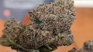 UK MEDICAL FLOWER - FIRST LOOK - AAAA RIPPED OFF RUNTZ T26 - NON IRRADIATED (20g)