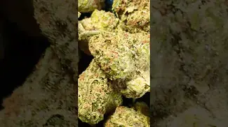 4C LABS CRUMBLED LIME 10 (UK PRESCRIPTION MEDICATION)