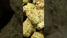 PrescribedBouquet Video Thumbnail