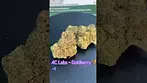 4C Labs ~ Goldberry T27 Review in description