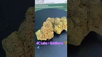 4C Labs ~ Goldberry T27 Review in description