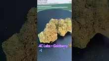Smokey Mo Video Thumbnail