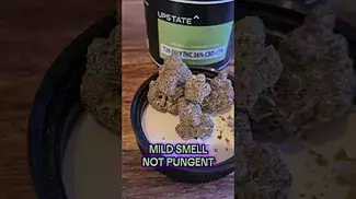 Crossbow - Upstate T26 CBW Medical prescribed cannabis UK review