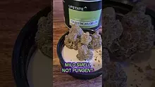 Stu pot reviews Video Thumbnail