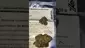 Video Thumbnail: Medical Cannabis Patient Reviews UK