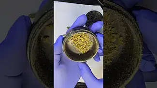 4c Labs Death Bubba T26 review