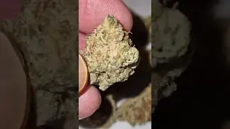Wedding Punch