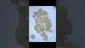 Video Thumbnail: Adz Canna